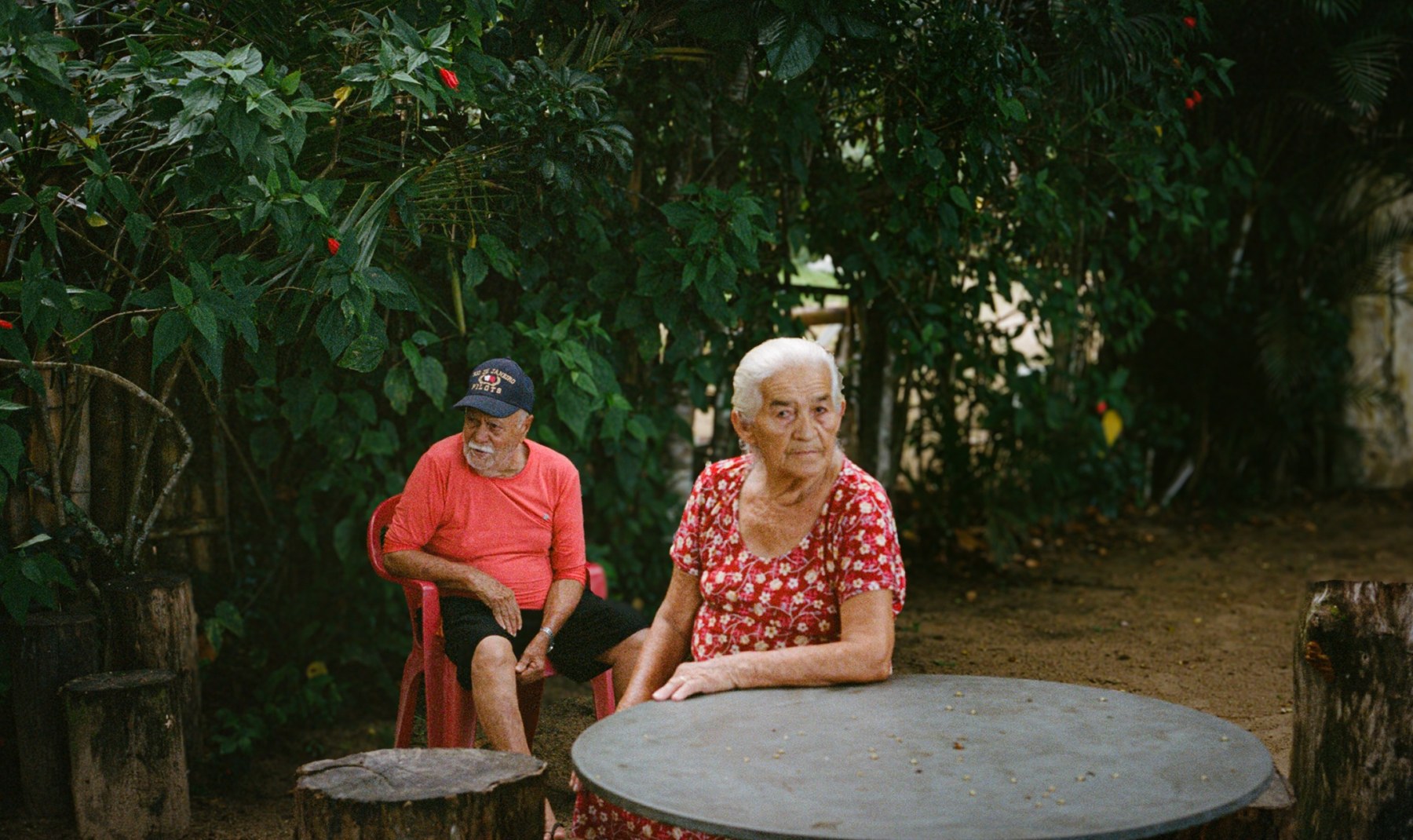 An elderly couple sitting at a table in a garden surrounded by greenery