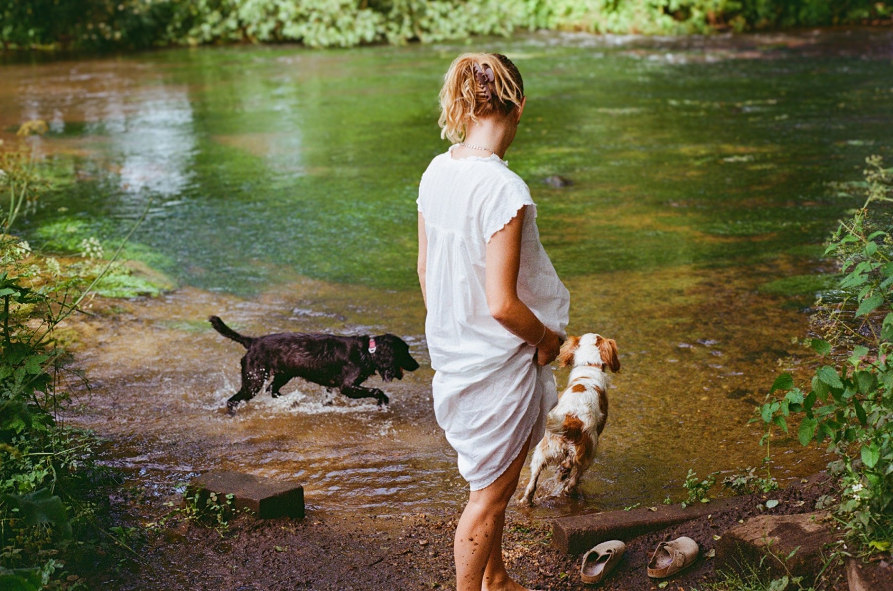 Woman in a white dress standing in shallow river water with two dogs
