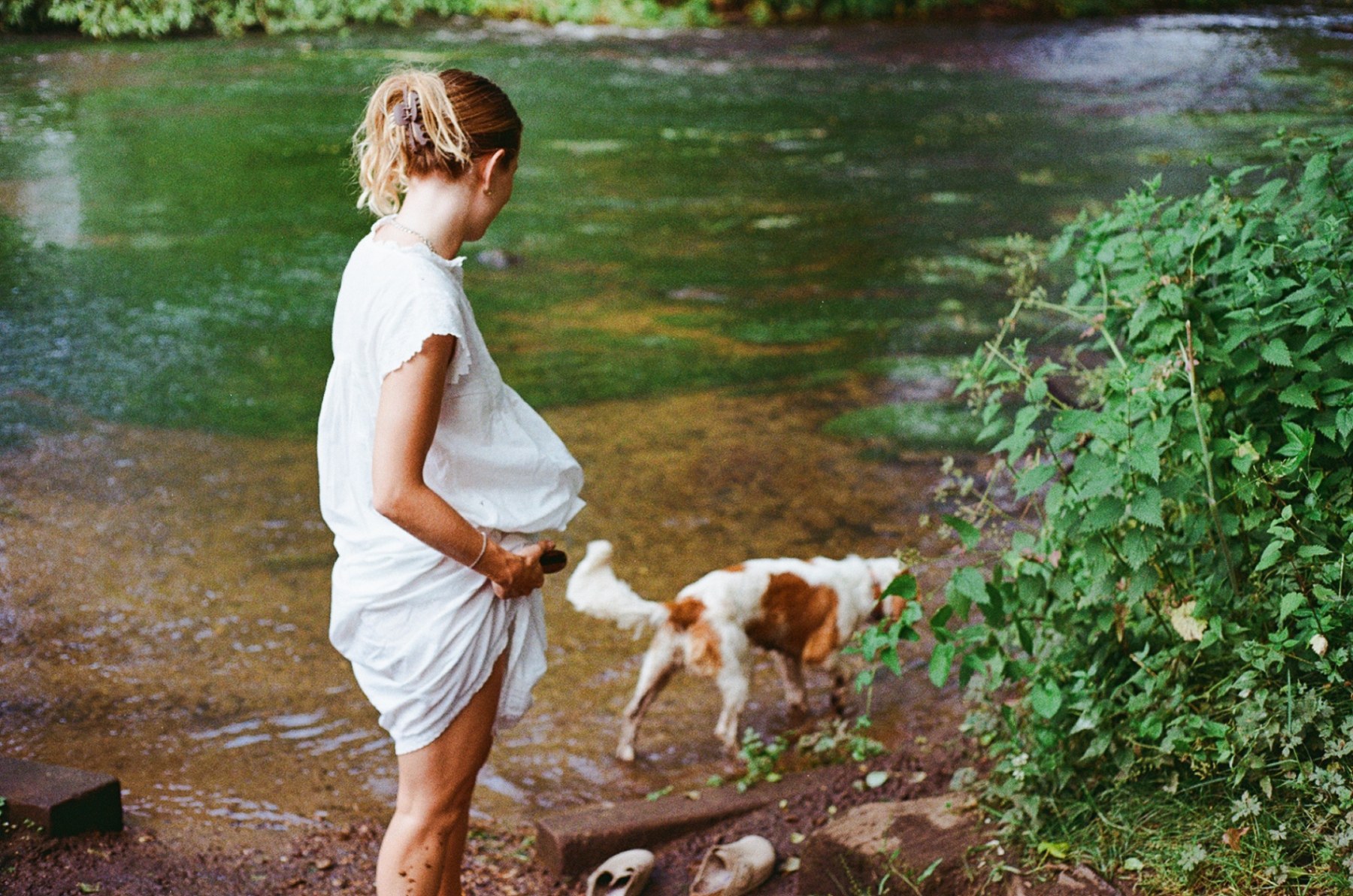 Woman gathering her white dress as a spaniel drinks at the river edge