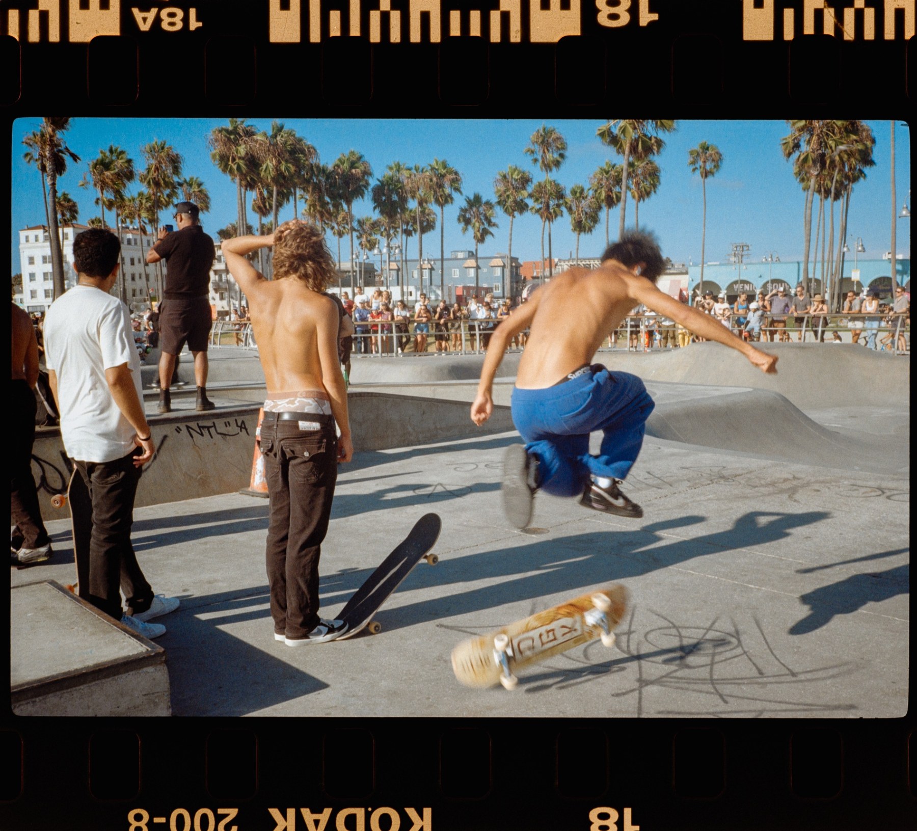 Skateboarder mid-air during a trick at the Venice Beach skatepark