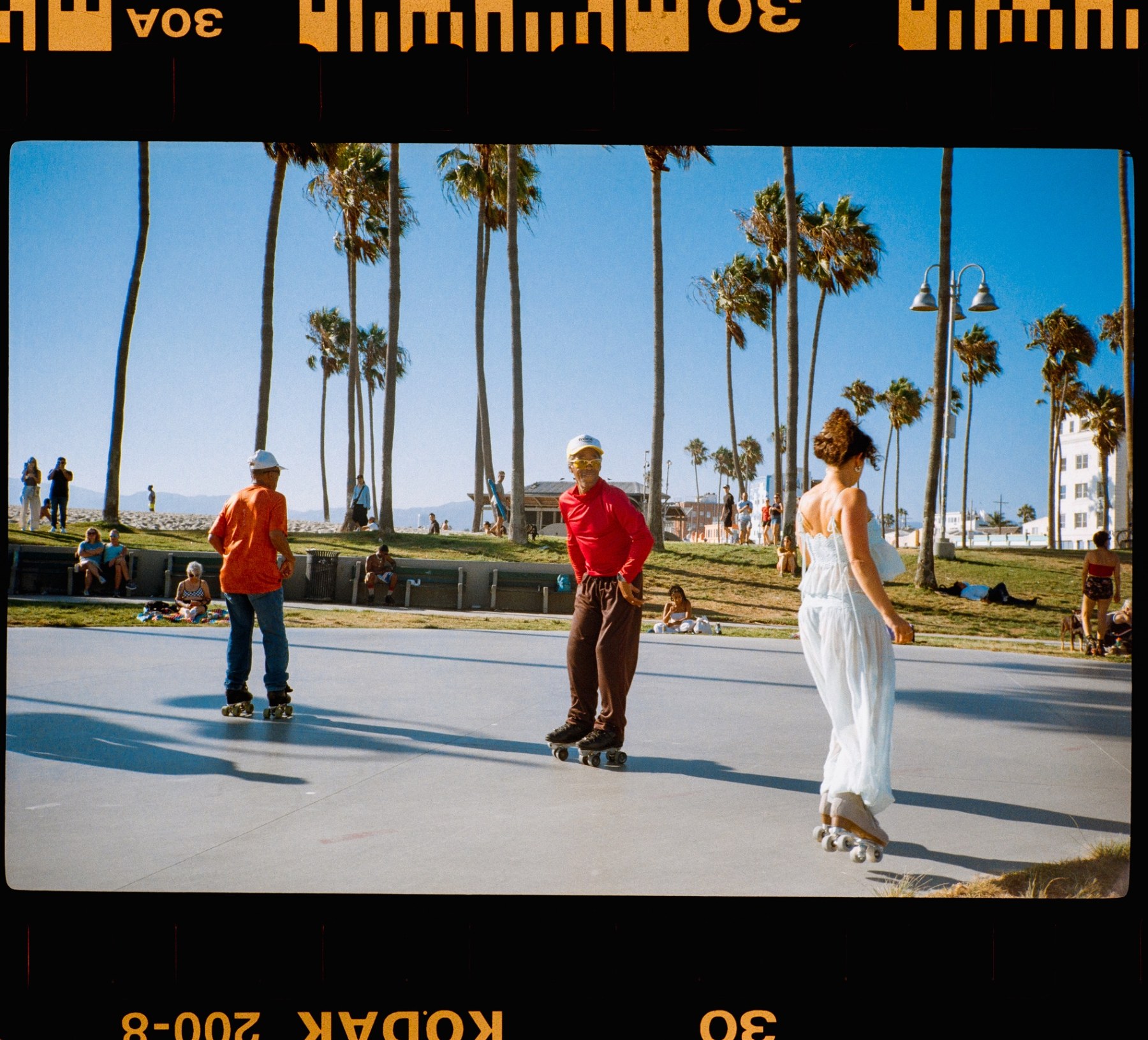 Three roller skaters gliding along the palm-lined Venice Beach rink