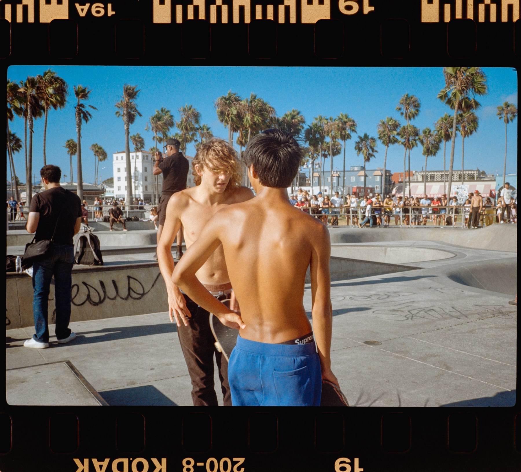 Two skaters talking beside the Venice Beach bowl under palm trees